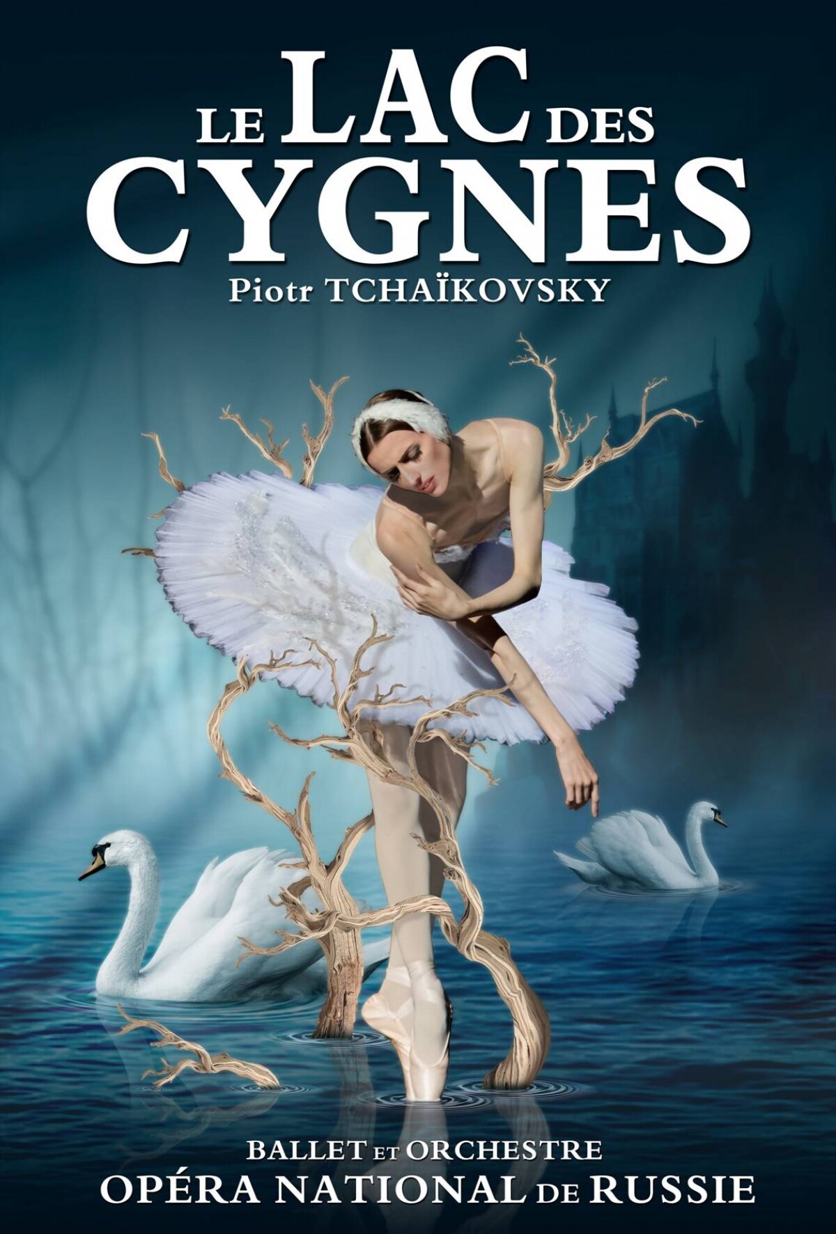 Le Lac Des Cygnes | Spectacle - Ballet | 18 Mars 2020 à ANNECY